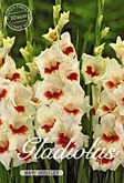 Gladiolus Large Flowering Mary Housley met 5 zakjes verpakt a 10 bollen