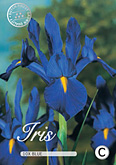 Iris hollandica Blue met 5 zakjes verpakt a 10 bollen