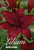 Lilium Asiatic Red met 5 zakjes verpakt a 2 bollen