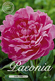 Paeonia Dark Pink met 5 zakjes verpakt a 1 bollen