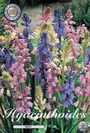 Hyacinthoides Mixed met 5 zakjes a 10 bollen