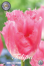Tulp Fancy Frills met 5 zakjes a 7 bollen