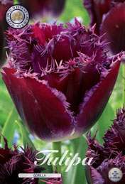 Tulp Gorilla met 5 zakjes a 10 bollen