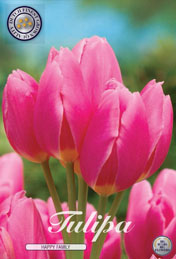 Tulp Happy Family met 5 zakjes a 7 bollen