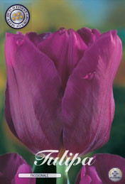 Tulp Passionale met 5 zakjes a 10 bollen