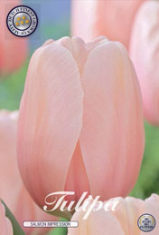 Tulp Salmon Impression met 5 zakjes a 10 bollen
