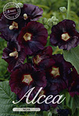 Alcea Rosea Nigra met 5 zakjes verpakt a 1 bollen