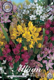 Allium Small Flowering Mixed met 5 zakjes a 20 bollen