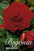 Begonia Double Red met 5 zakjes verpakt a 3 bollen