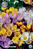 Crocus Botanical Mixed met 5 zakjes a 20 bollen