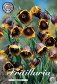 Fritillaria Uva-Vulpis met 5 zakjes a 10 bollen