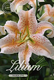 Lilium Oriental Salmon Star met 5 zakjes verpakt a 2 bollen