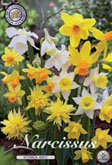 Narcis Botanical Mixed met 5 zakjes a 10 bollen