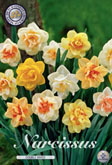 Narcis Double Mixed met 5 zakjes a 5 bollen