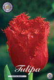 Tulp Crystal Beauty met 5 zakjes a 10 bollen