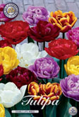 Tulp Double Late Mixed met 5 zakjes a 10 bollen