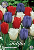 Tulp Dutch Garden met 5 zakjes a 10 bollen