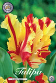 Tulp Flaming Parrot met 5 zakjes a 7 bollen