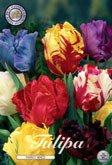 Tulp Parrot Mixed met 5 zakjes a 7 bollen