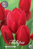 Tulp Red Georgette met 5 zakjes a 7 bollen