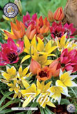 Tulp Specie Mixed met 5 zakjes a 15 bollen